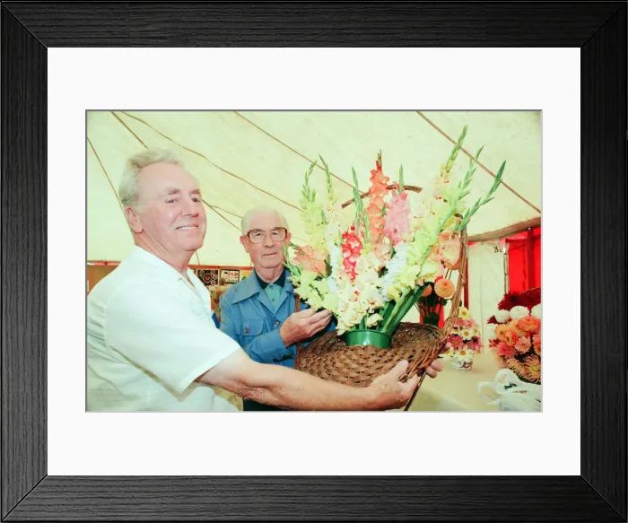 Framed Print : Agricultural Show Billingham, County Durham, Stockton on Tees, 25th August 1995. Pictured