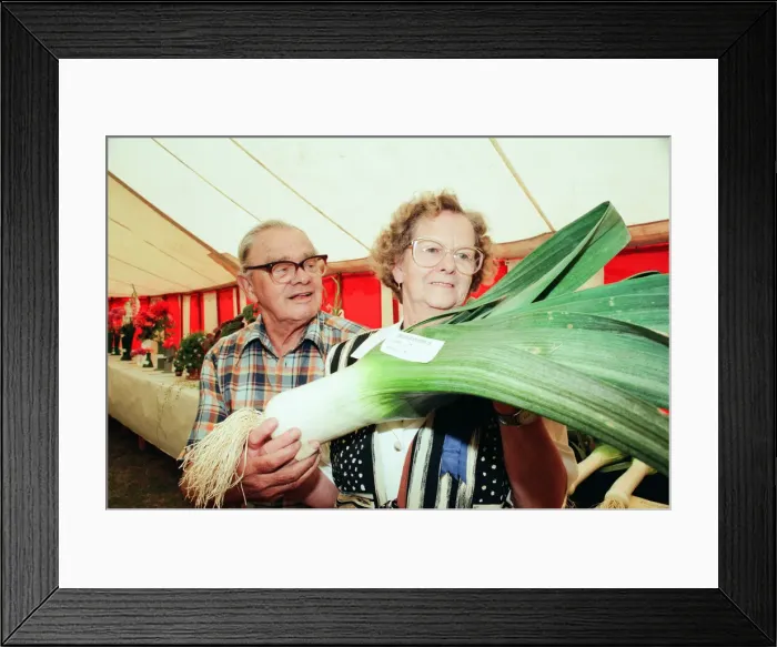 Framed Print : Agricultural Show Billingham, County Durham, Stockton on Tees, 25th August 1995. Pictured Framed Print : Agricultural Show Billingham, County Durham, Stockton on Tees, 25th August 1995. Pictured