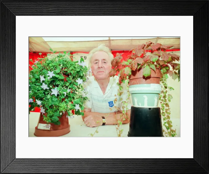 Framed Print : Agricultural Show Billingham, County Durham, Stockton on Tees, 25th August 1995. Pictured Framed Print : Agricultural Show Billingham, County Durham, Stockton on Tees, 25th August 1995. Pictured