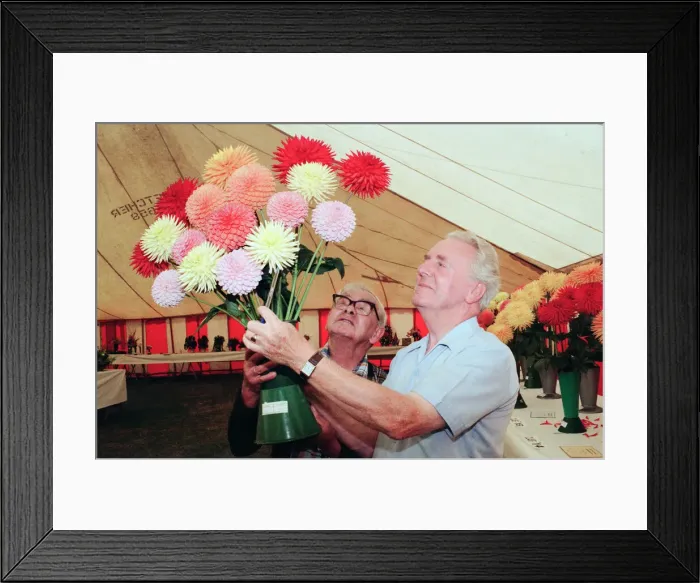 Framed Print : Agricultural Show Billingham, County Durham, Stockton on Tees, 23rd August 1996. Pictured Framed Print : Agricultural Show Billingham, County Durham, Stockton on Tees, 23rd August 1996. Pictured
