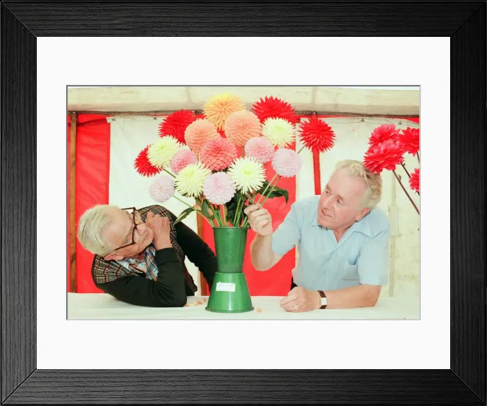 Framed Print : Agricultural Show Billingham, County Durham, Stockton on Tees, 23rd August 1996. Pictured Framed Print : Agricultural Show Billingham, County Durham, Stockton on Tees, 23rd August 1996. Pictured