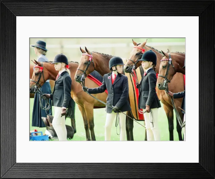 Framed Print : Agricultural Show Cleveland, 24th July 1993 Framed Print : Agricultural Show Cleveland, 24th July 1993