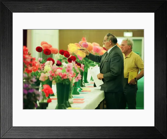 Framed Print : Agricultural Show Billingham, County Durham, Stockton on Tees, 26th August 1994. Pictured Framed Print : Agricultural Show Billingham, County Durham, Stockton on Tees, 26th August 1994. Pictured