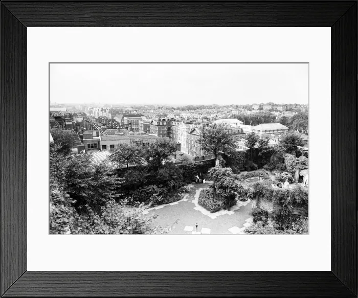 Framed Print : Over 100 feet above the ground Charles Legg calmly goes about pruning and trimming a tree