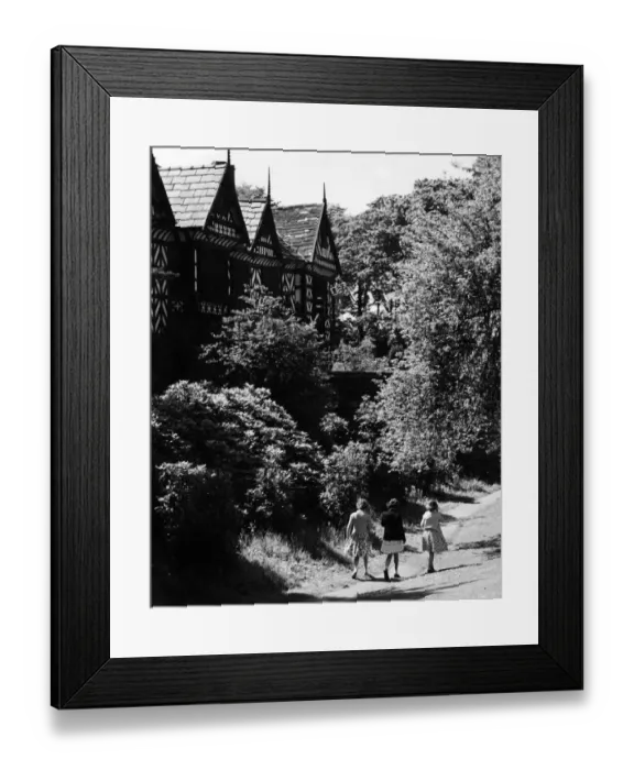 Framed Print : Three friends out for a walk at Speke Hall, the 16th century wood framed wattle Framed Print : Three friends out for a walk at Speke Hall, the 16th century wood framed wattle