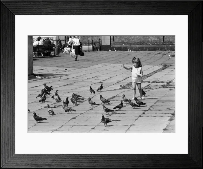 Framed Print : Pier Head, Liverpool, Merseyside, 17th August 1988. Young child plays with pigeons Framed Print : Pier Head, Liverpool, Merseyside, 17th August 1988. Young child plays with pigeons