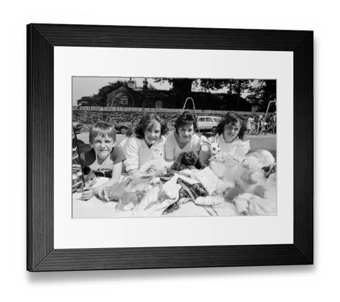 Framed Print : More than eight hours of fun and entertainment, including this cuddly toy stall