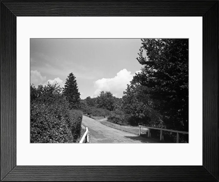 Framed Print : Burnham Beeches, Buckinghamshire. 3rd July 1944 Framed Print : Burnham Beeches, Buckinghamshire. 3rd July 1944