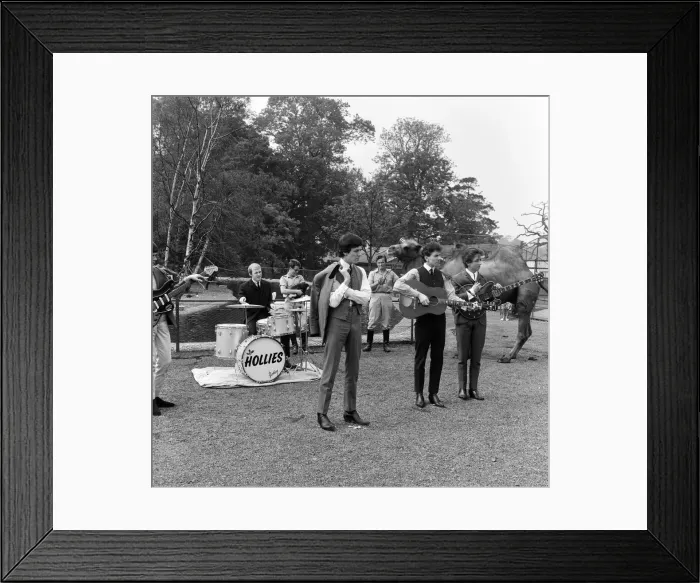 Framed Print : Manchester pop group The Hollies pictured performing at Chessington Zoo in front of Framed Print : Manchester pop group The Hollies pictured performing at Chessington Zoo in front of