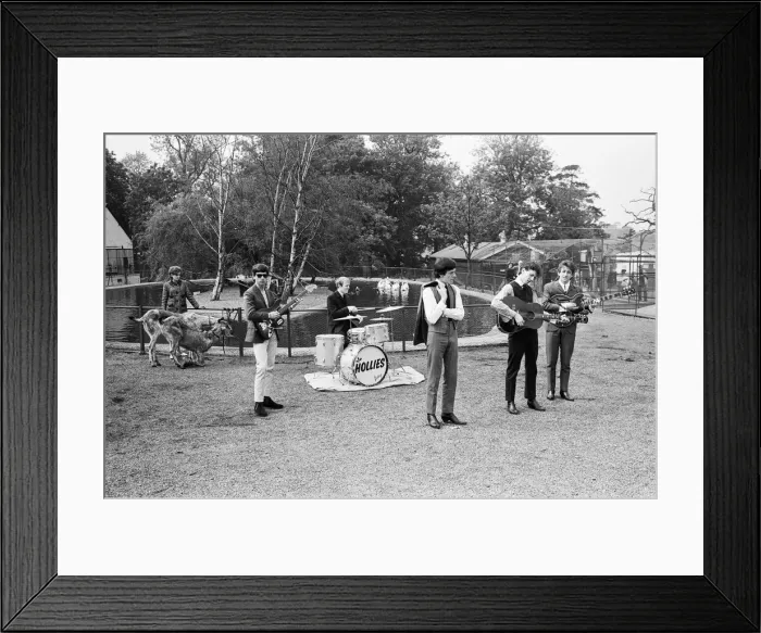 Framed Print : Manchester pop group The Hollies pictured performing at Chessington Zoo in front of Framed Print : Manchester pop group The Hollies pictured performing at Chessington Zoo in front of