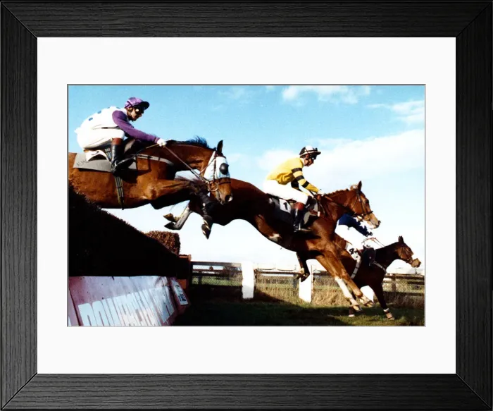 Framed Print : Sedgefield Racecourse is a horse racing course located south of the city of Durham Framed Print : Sedgefield Racecourse is a horse racing course located south of the city of Durham