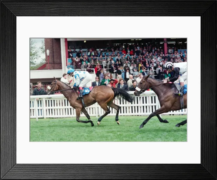 Framed Print : Horse Racing at Redcar. Zetland Gold Cup Day. 31st May 1993