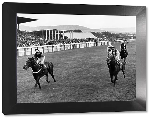 Redcar Racecourse is a thoroughbred horse racing venue located in Redcar, North Yorkshire