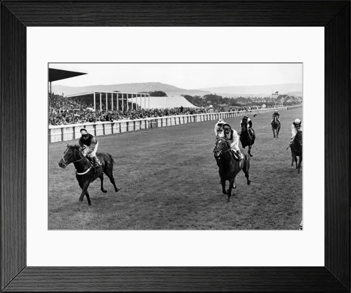 Framed Print : Redcar Racecourse is a thoroughbred horse racing venue located in Redcar, North Yorkshire