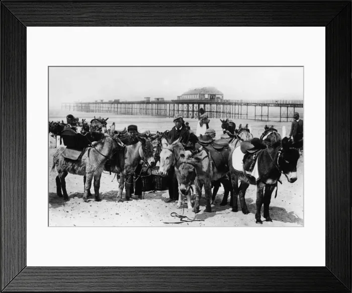 Framed Print : Donkey Rides on Rhyl beach 1891 Framed Print : Donkey Rides on Rhyl beach 1891