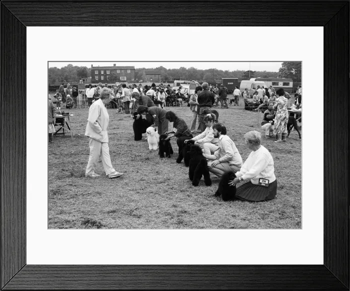 Framed Print : General scenes at Honley Show, West Yorkshire. 11th June 1988 Framed Print : General scenes at Honley Show, West Yorkshire. 11th June 1988