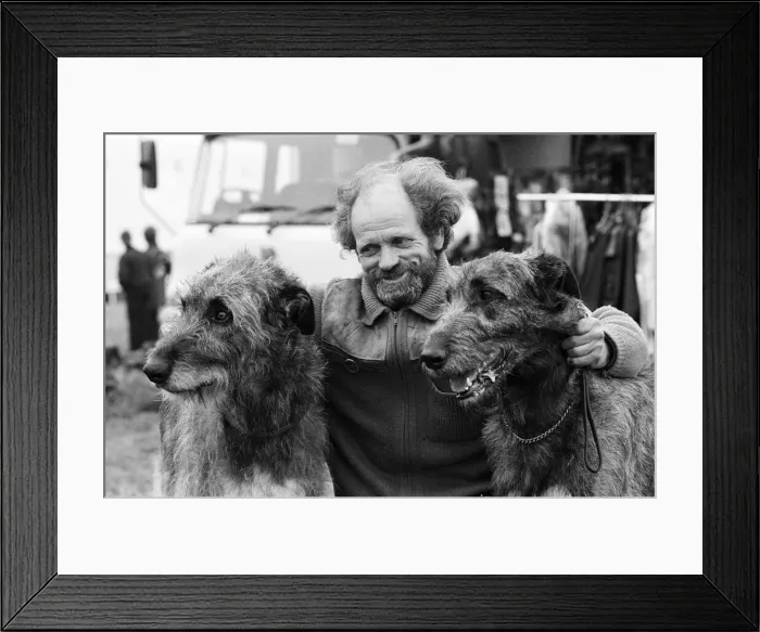 Framed Print : Honley Show. Show dogs... Mr Bill Jackson with his Irish Wolfhounds Rastus and Tryth