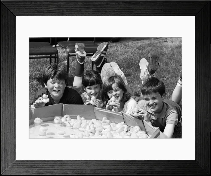 Framed Print : All eyes on the ducks at the Shelley Community Associations annual gala Framed Print : All eyes on the ducks at the Shelley Community Associations annual gala