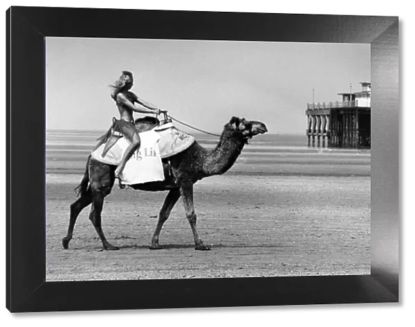 Camel Racing to be held on the beaches at Southport, Sefton, Merseyside, this weekend