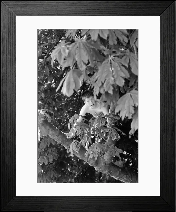 Framed Print : 1500 children enjoy a Fun Day at Sefton Park, Liverpool, 19th August 1992