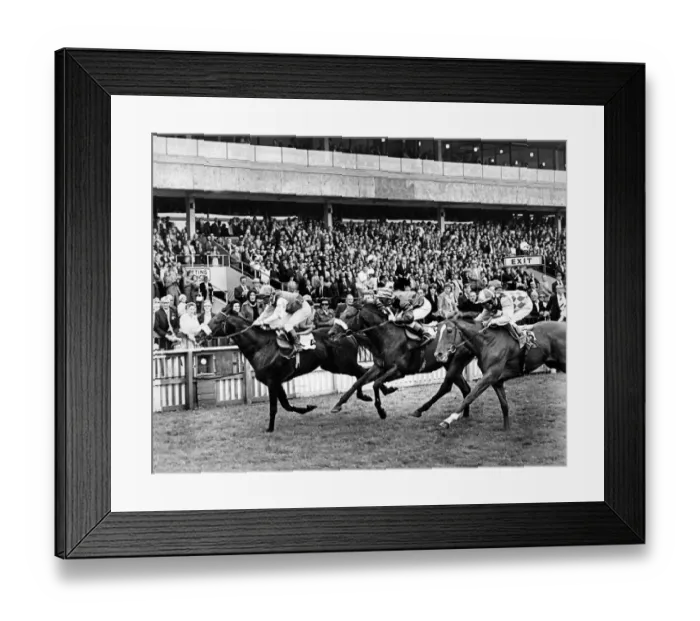 Framed Print : Redcar Racecourse is a thoroughbred horse racing venue located in Redcar, North Yorkshire