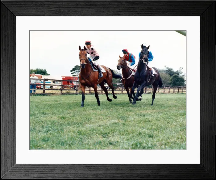 Framed Print : Sedgefield Racecourse is a horse racing course located south of the city of Durham Framed Print : Sedgefield Racecourse is a horse racing course located south of the city of Durham