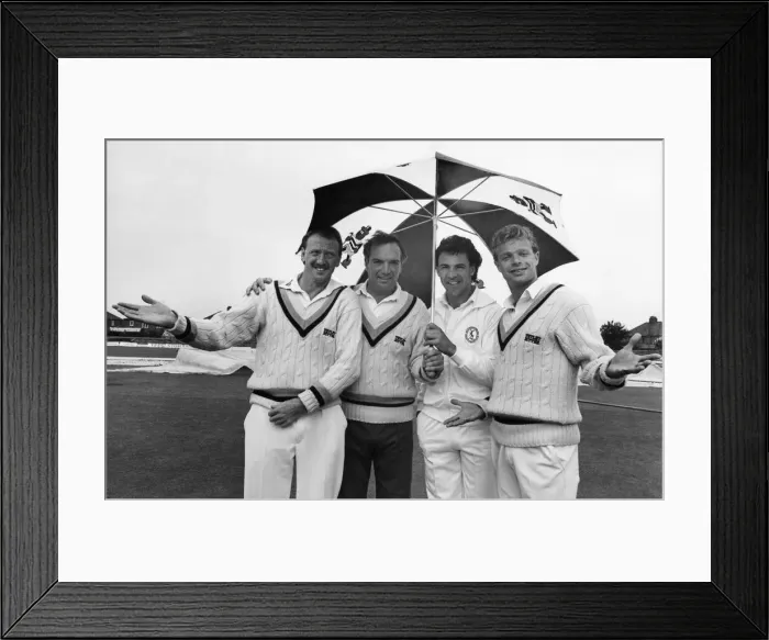 Framed Print : Lovely weather for ducks - and not the cricketing kind! Taking shelter from Framed Print : Lovely weather for ducks - and not the cricketing kind! Taking shelter from