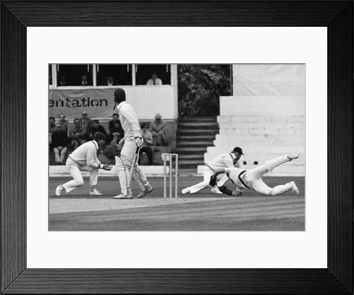Framed Print : Over and Out. Yorkshire wicketkeeper Steven Rhodes dives to take a spectacular catch in Framed Print : Over and Out. Yorkshire wicketkeeper Steven Rhodes dives to take a spectacular catch in