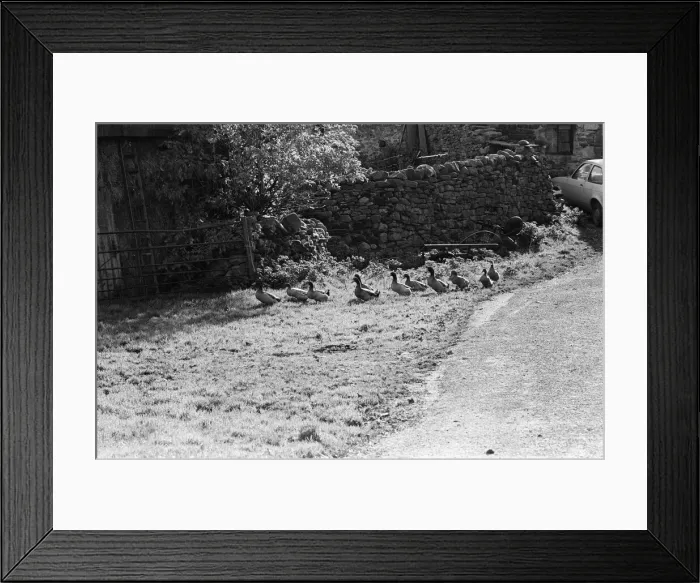 Framed Print : Yorkshire Dales, North Yorkshire. Sunday 24th October 1982 Framed Print : Yorkshire Dales, North Yorkshire. Sunday 24th October 1982