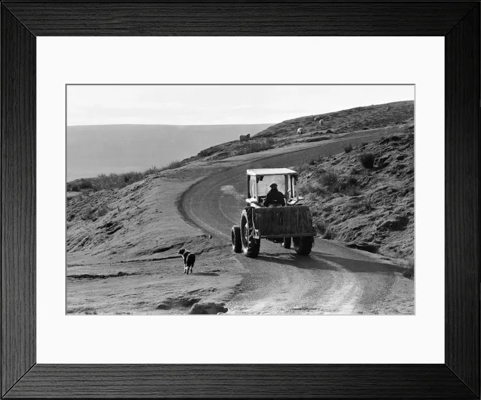 Framed Print : Yorkshire Dales, North Yorkshire. Sunday 24th October 1982 Framed Print : Yorkshire Dales, North Yorkshire. Sunday 24th October 1982