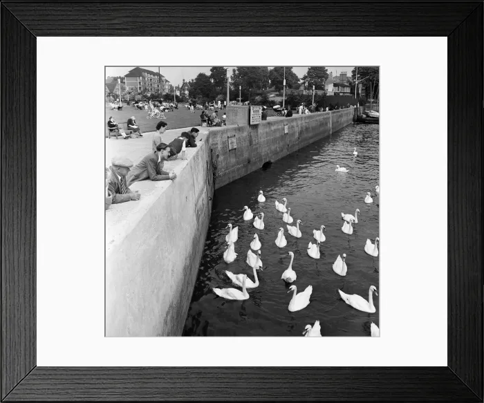 Framed Print : Scenes along the River Thames between Kew and Hammersmith, London. August 1954 Framed Print : Scenes along the River Thames between Kew and Hammersmith, London. August 1954