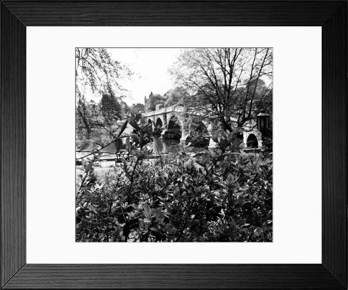 Framed Print : Scenic view of Richmond, along the River Thames, in south west London. 13th May 1954 Framed Print : Scenic view of Richmond, along the River Thames, in south west London. 13th May 1954