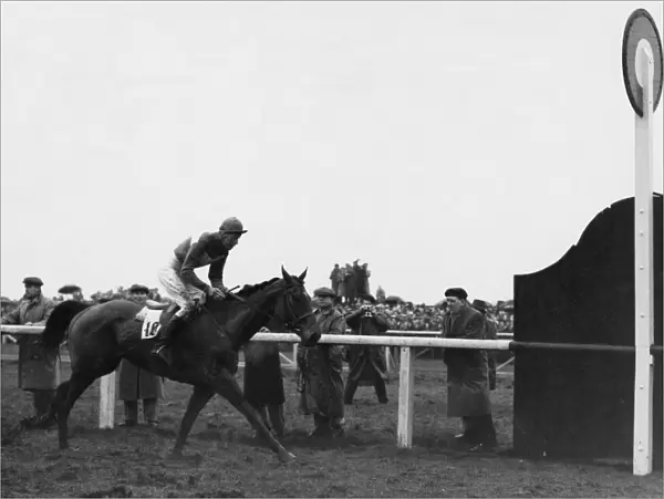 Quare Times seen here winning the 1955 Grand National 28th March 1955