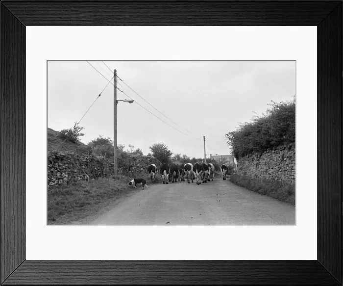 Framed Print : Yorkshire Dales, North Yorkshire. Sunday 24th October 1982 Framed Print : Yorkshire Dales, North Yorkshire. Sunday 24th October 1982