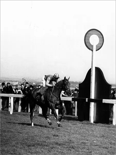 Red Alligator and Brian Fletcher win Grand National. 1968