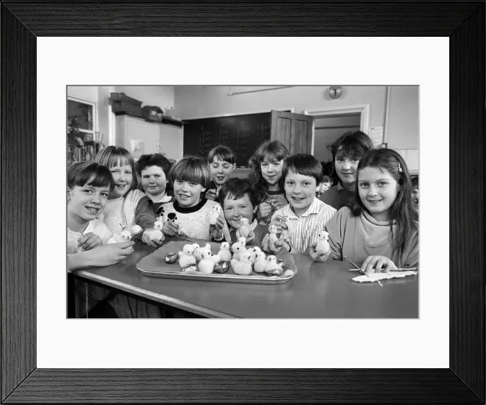 Framed Print : Helping feather the nest of the £500, 000 Examiner Bodyscanner Appeal are pupils of Framed Print : Helping feather the nest of the £500, 000 Examiner Bodyscanner Appeal are pupils of