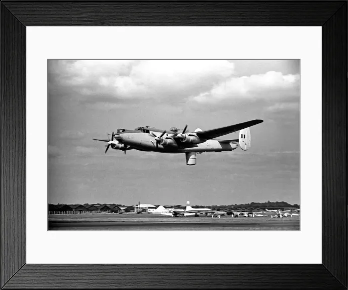 Framed Print : Farnborough Airshow. Avro Shackelton in flight. 2nd September 1952 Framed Print : Farnborough Airshow. Avro Shackelton in flight. 2nd September 1952