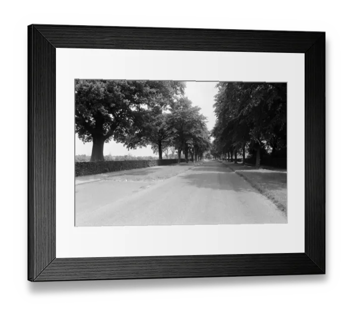 Framed Print : Rowheath Pavilion Centre. Heath Road, Bournville, Birmingham B30 1HH. 14th July 1981 Framed Print : Rowheath Pavilion Centre. Heath Road, Bournville, Birmingham B30 1HH. 14th July 1981