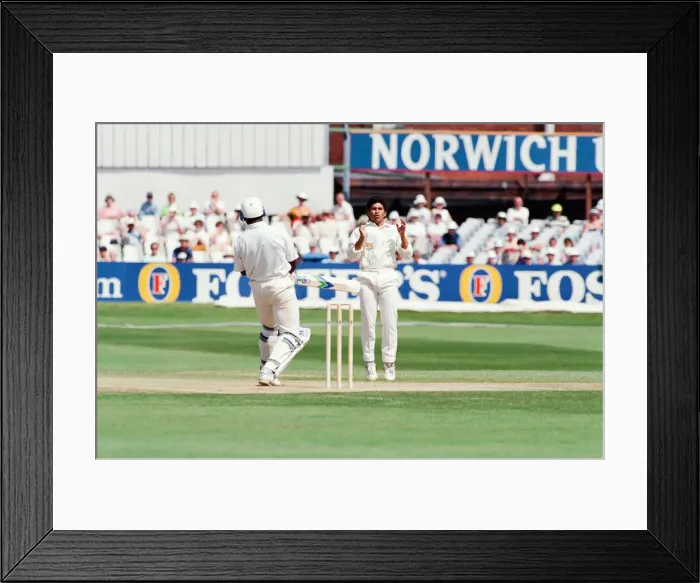 Framed Print : Yorkshire v Gloucestershire, Britannic Assurance County Championship 1992 Framed Print : Yorkshire v Gloucestershire, Britannic Assurance County Championship 1992