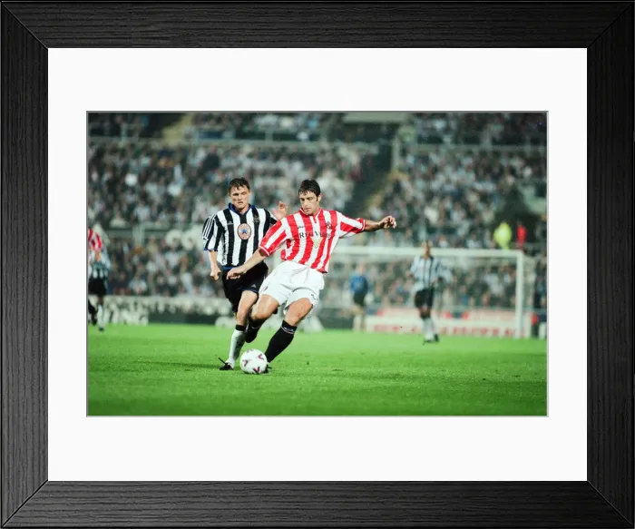 Framed Print : Newcastle 1-2 Sunderland, Premier league match at St James Park Framed Print : Newcastle 1-2 Sunderland, Premier league match at St James Park