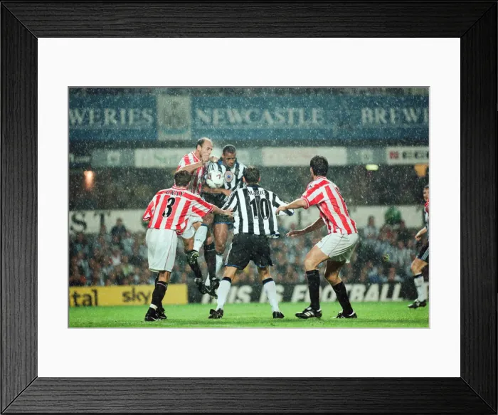 Framed Print : Newcastle 1-2 Sunderland, Premier league match at St James Park Framed Print : Newcastle 1-2 Sunderland, Premier league match at St James Park