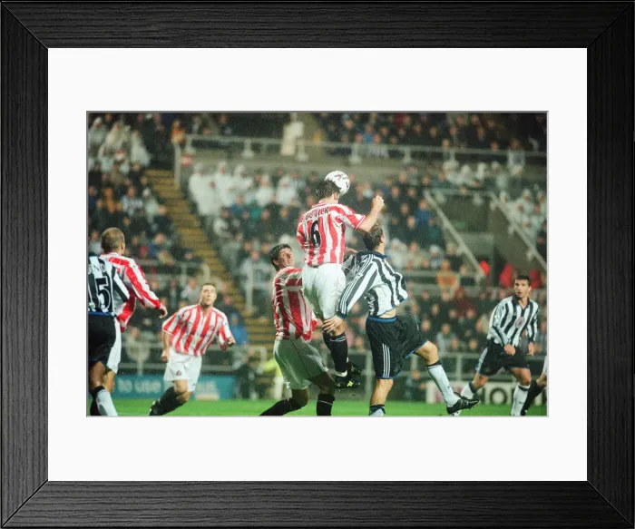 Framed Print : Newcastle 1-2 Sunderland, Premier league match at St James Park Framed Print : Newcastle 1-2 Sunderland, Premier league match at St James Park