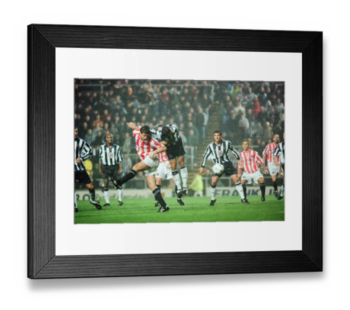 Framed Print : Newcastle 1-2 Sunderland, Premier league match at St James Park