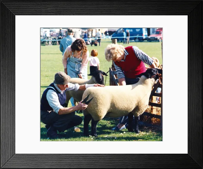 Framed Print : Darlingtons 35th annual show, South Park, Circa 1986 Framed Print : Darlingtons 35th annual show, South Park, Circa 1986