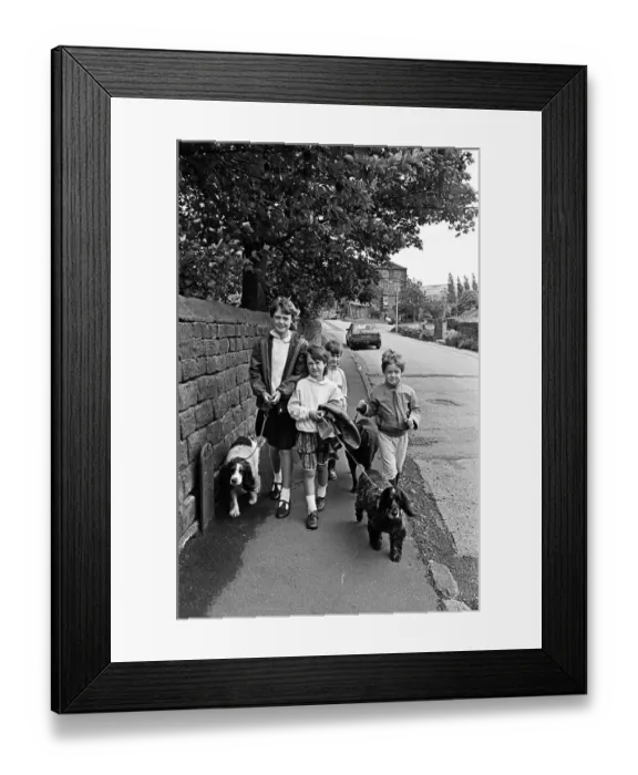 Framed Print : These youngsters decided take the dogs for a walk-for cash