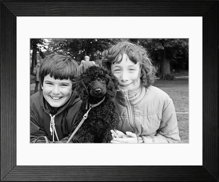 Framed Print : The dog with a waggiest tail, the friendliest face and best legs went on show Framed Print : The dog with a waggiest tail, the friendliest face and best legs went on show