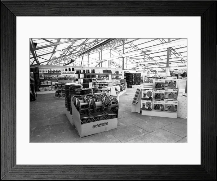 Framed Print : Arcadia Nurseries, Gardening Centre, Nunthorpe, Middlesbrough, North Yorkshire Framed Print : Arcadia Nurseries, Gardening Centre, Nunthorpe, Middlesbrough, North Yorkshire