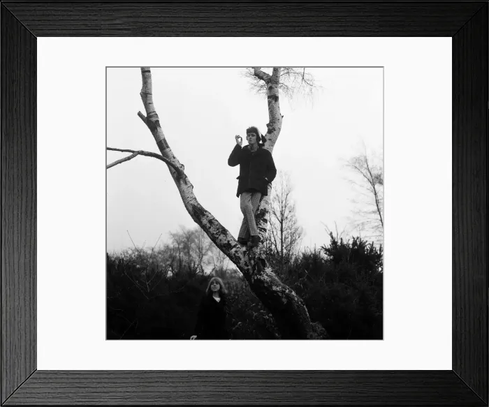 Framed Print : Folk musician Donovan. 13th February 1966 Framed Print : Folk musician Donovan. 13th February 1966