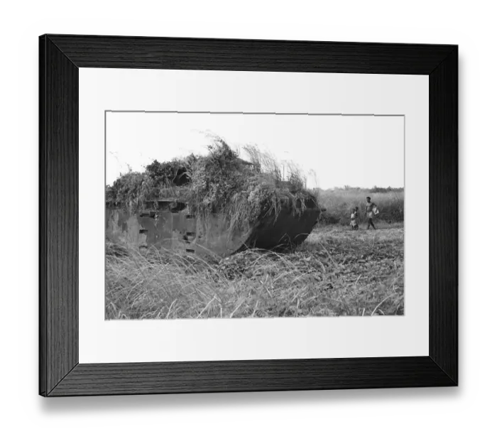 Framed Print : Children playing near a weed strewn Buffalo LVT American tank in a potato field