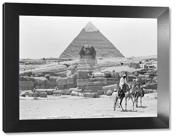 A camel ride vendor seen here in the depression to the south of Khafre